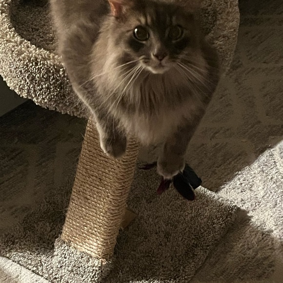 Meet your Posher, Rebecca - Picture 9 of 9